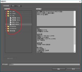 adobe premiere pro cs4导出后画面模糊等问题