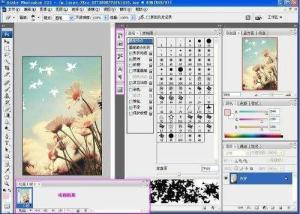 绘图软件